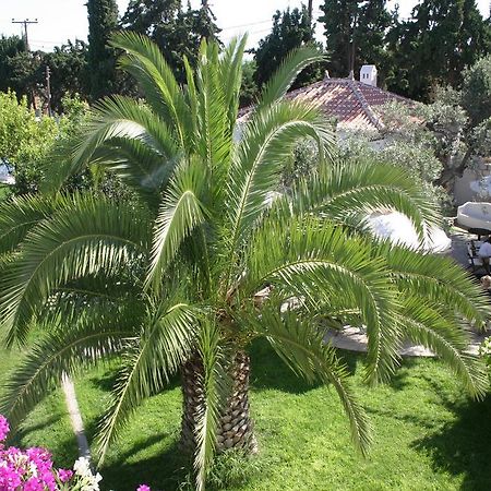 Villa Martha Spetses Town Ngoại thất bức ảnh