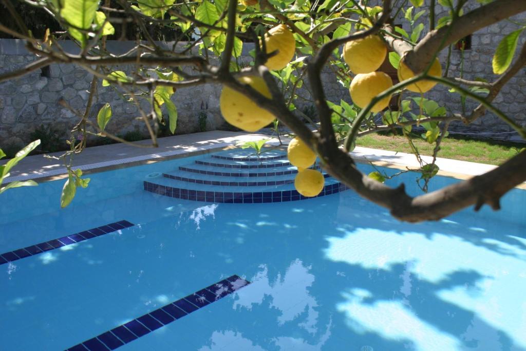 Villa Martha Spetses Town Ngoại thất bức ảnh